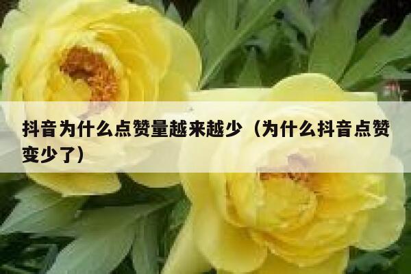 抖音为什么点赞量越来越少（为什么抖音点赞变少了） 第1张