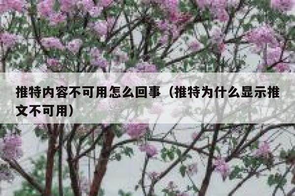 推特内容不可用怎么回事（推特为什么显示推文不可用） 第1张