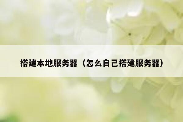 搭建本地服务器（怎么自己搭建服务器） 第1张