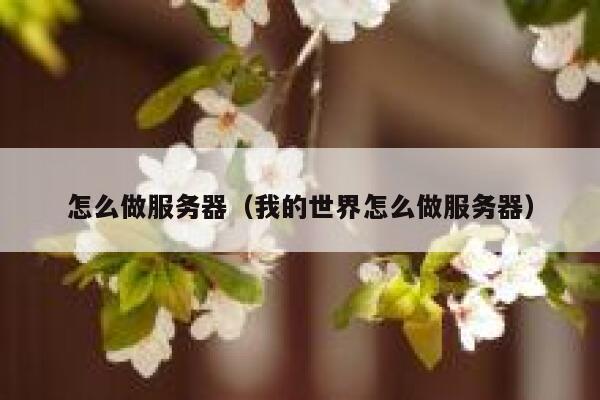 怎么做服务器（我的世界怎么做服务器） 第1张