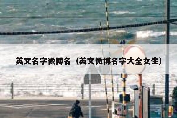 英文名字微博名(英文微博名字大全女生) 第1张 英文名字微博名(英文微博名字大全女生) 第1张