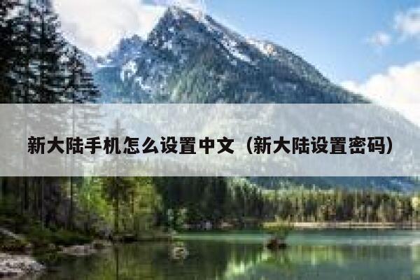新大陆手机怎么设置中文（新大陆设置密码） 第1张