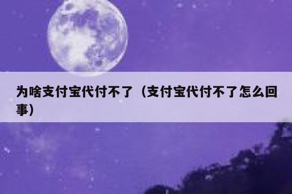 为啥支付宝代付不了（支付宝代付不了怎么回事） 第1张