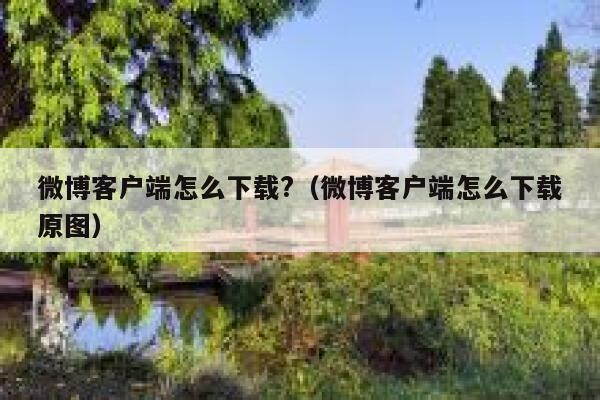 微博客户端怎么下载?（微博客户端怎么下载原图） 第1张