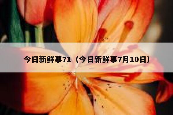 今日新鲜事71（今日新鲜事7月10日） 第1张