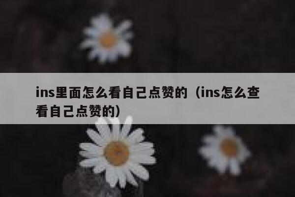 ins里面怎么看自己点赞的（ins怎么查看自己点赞的） 第1张