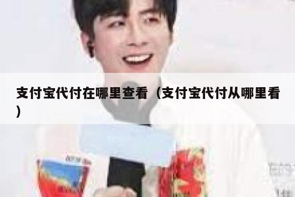支付宝代付在哪里查看（支付宝代付从哪里看） 第1张