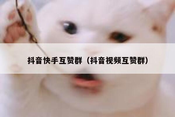 抖音快手互赞群（抖音视频互赞群） 第1张