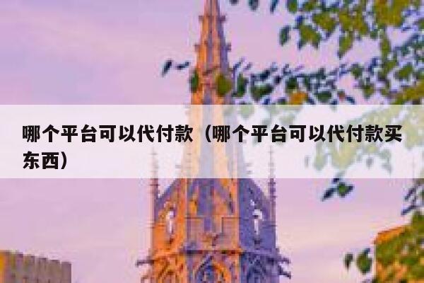 哪个平台可以代付款（哪个平台可以代付款买东西） 第1张
