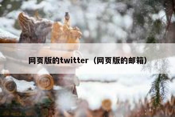 网页版的twitter（网页版的邮箱） 第1张