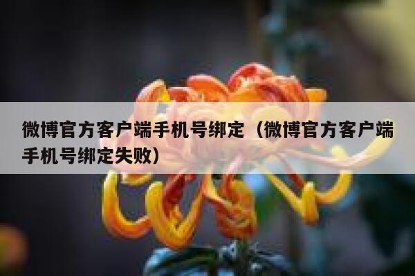 微博官方客户端手机号绑定（微博官方客户端手机号绑定失败） 第1张
