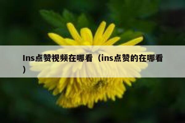 Ins点赞视频在哪看（ins点赞的在哪看） 第1张