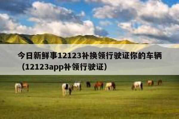 今日新鲜事12123补换领行驶证你的车辆（12123app补领行驶证） 第1张