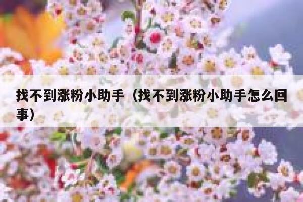 找不到涨粉小助手（找不到涨粉小助手怎么回事） 第1张