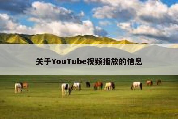 关于YouTube视频播放的信息 第1张
