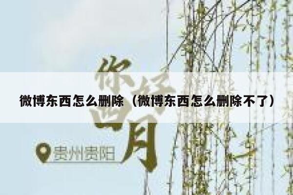 微博东西怎么删除（微博东西怎么删除不了） 第1张