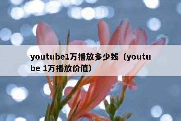 youtube1万播放多少钱（youtube 1万播放价值） 第1张