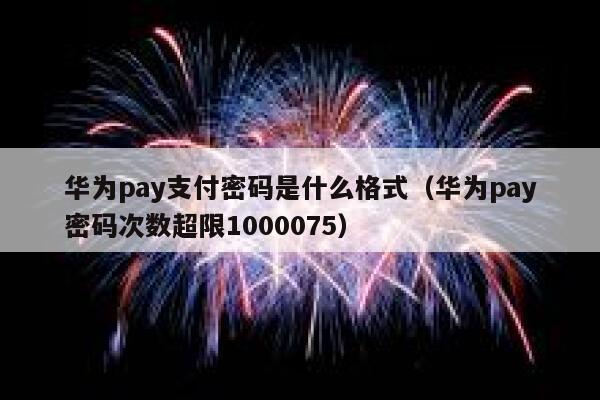 华为pay支付密码是什么格式（华为pay密码次数超限1000075） 第1张
