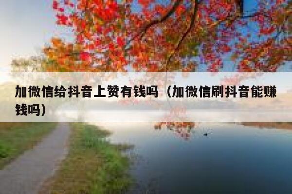 加微信给抖音上赞有钱吗（加微信刷抖音能赚钱吗） 第1张