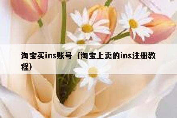 淘宝买ins账号（淘宝上卖的ins注册教程） 第1张