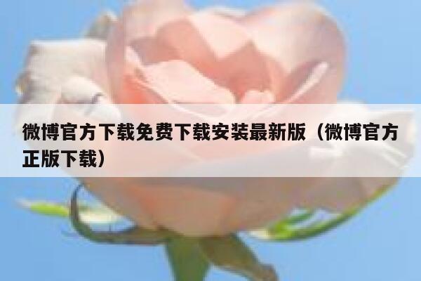 微博官方下载免费下载安装最新版（微博官方正版下载） 第1张