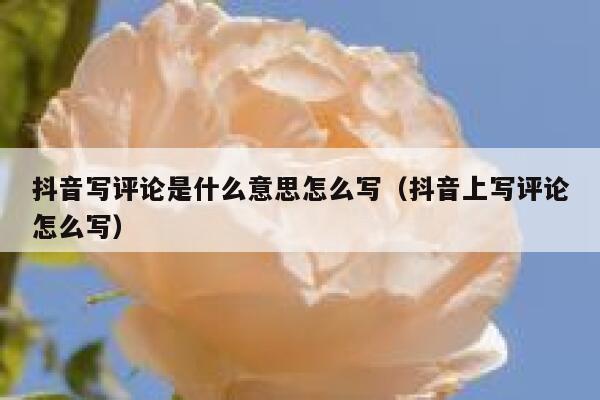 抖音写评论是什么意思怎么写（抖音上写评论怎么写） 第1张