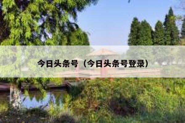 今日头条号（今日头条号登录） 第1张