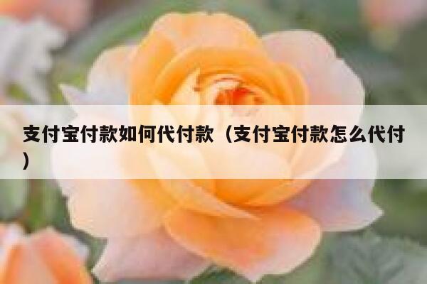 支付宝付款如何代付款(支付宝付款怎么代付) 第1张 支付宝付款如何代付款(支付宝付款怎么代付) 第1张