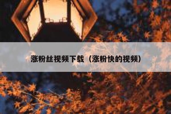 涨粉丝视频下载（涨粉快的视频） 第1张
