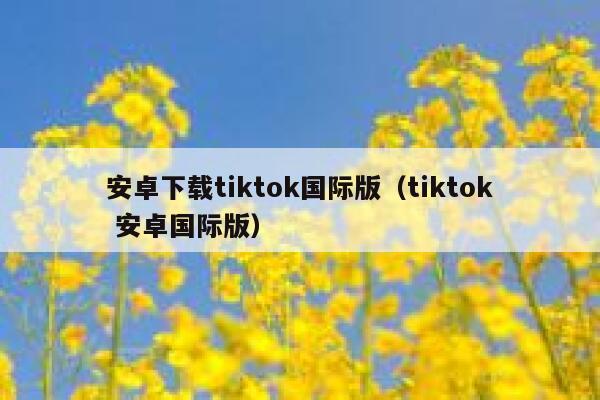安卓下载tiktok国际版（tiktok 安卓国际版） 第1张