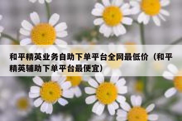 和平精英业务自助下单平台全网最低价（和平精英辅助下单平台最便宜） 第1张