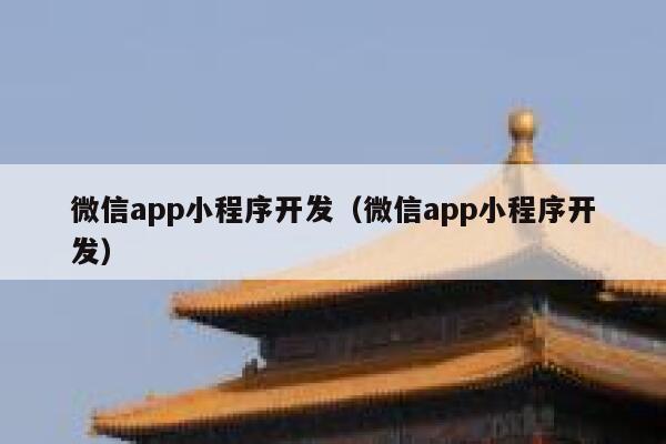 微信app小程序开发（微信app小程序开发） 第1张