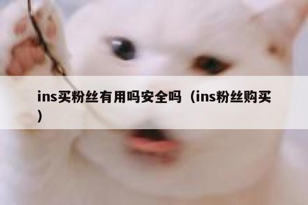 ins买粉丝有用吗安全吗（ins粉丝购买） 第1张
