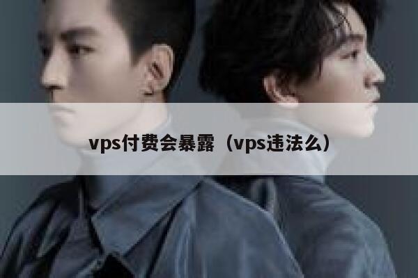vps付费会暴露（vps违法么） 第1张