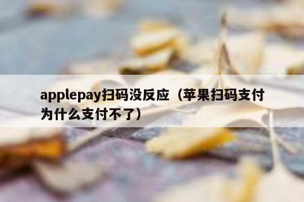 applepay扫码没反应（苹果扫码支付为什么支付不了） 第1张