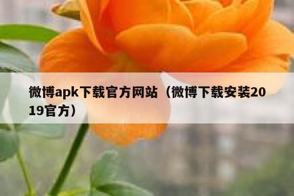微博apk下载官方网站（微博下载安装2019官方） 第1张