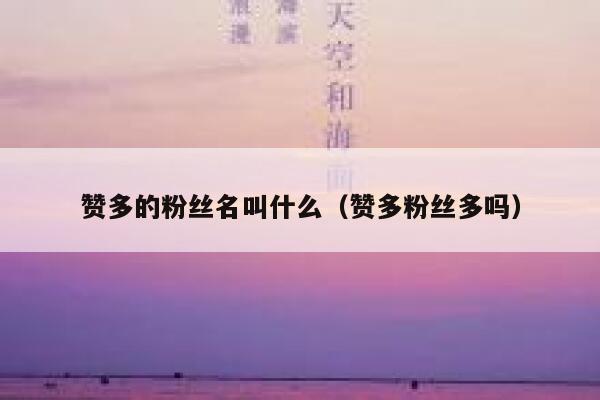 赞多的粉丝名叫什么（赞多粉丝多吗） 第1张