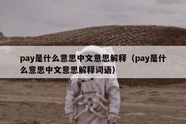 pay是什么意思中文意思解释（pay是什么意思中文意思解释词语） 第1张