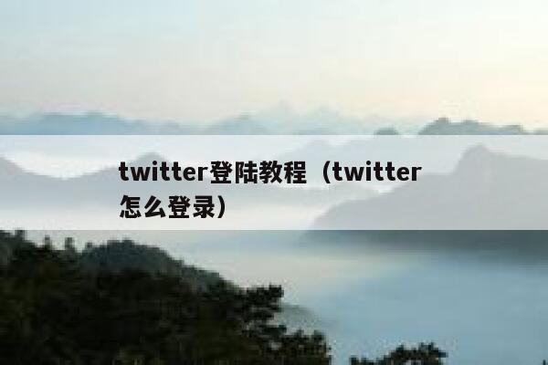 twitter登陆教程（twitter 怎么登录） 第1张