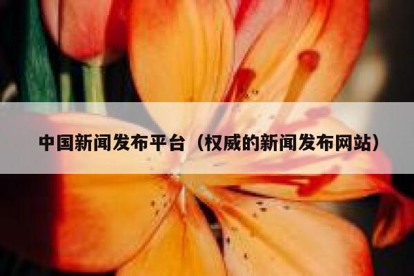 中国新闻发布平台(权威的新闻发布网站) 第1张 中国新闻发布平台(权威的新闻发布网站) 第1张