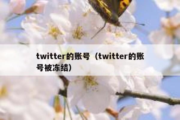 twitter的账号（twitter的账号被冻结） 第1张