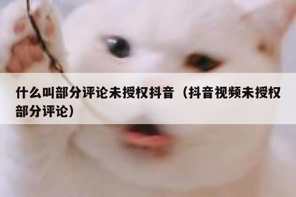 什么叫部分评论未授权抖音（抖音视频未授权部分评论） 第1张