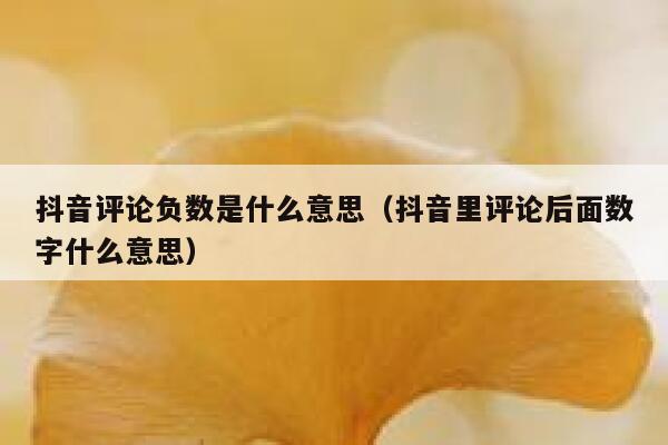 抖音评论负数是什么意思（抖音里评论后面数字什么意思） 第1张