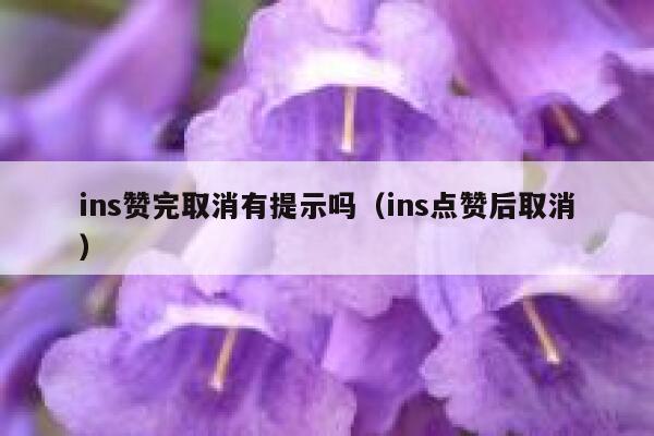 ins赞完取消有提示吗（ins点赞后取消） 第1张