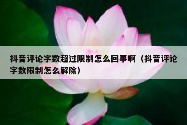 抖音评论字数超过限制怎么回事啊（抖音评论字数限制怎么解除） 第1张