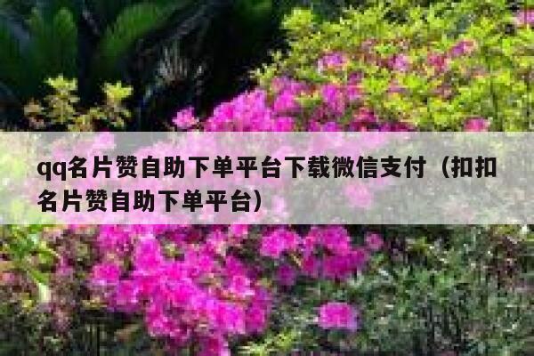 qq名片赞自助下单平台下载微信支付（扣扣名片赞自助下单平台） 第1张