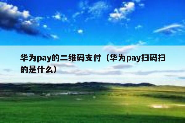华为pay的二维码支付(华为pay扫码扫的是什么) 第1张 华为pay的二维码支付(华为pay扫码扫的是什么) 第1张