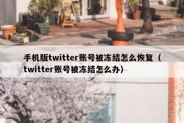 手机版twitter账号被冻结怎么恢复（twitter账号被冻结怎么办） 第1张