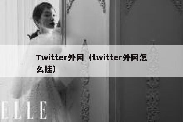 Twitter外网（twitter外网怎么挂） 第1张
