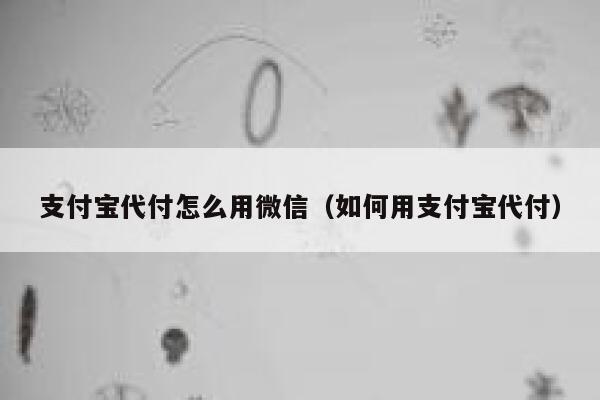 支付宝代付怎么用微信（如何用支付宝代付） 第1张